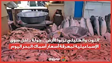 "اللوت والهليلي نزلوا الأرض".. جولة داخل سوق الإسماعيلية لمعرفة أسعار أسماك البحر اليوم