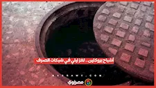 "أشباح بروكلين".. أصوات غامضة داخل شبكات الصرف الصحي ةالشرطة الأمريكية تحقق