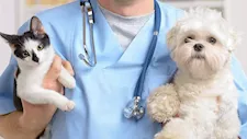 اجتماع طارئ لنقابة البيطريين غدًا لبحث مطالب الطلاب بصرف مكافأة سنة الامتياز