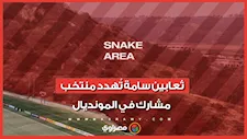 ظهور ثعابين سامة بجوار معسكر منتخب مشارك في المونديال.. ما القصة؟