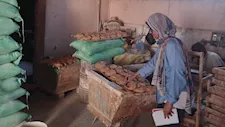 استولى على نصف طن زيت وسكر.. تموين الإسماعيلية يضبط بقالاً مخالفاً بالقنطرة