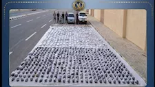 الداخلية تُحبط تهريب مواد مخدرة بقيمة 125 مليون جنيه في السويس