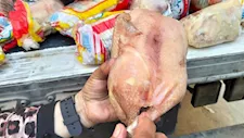 ضبط 3 آلاف دجاجة فاسدة قبل بيعها للمطاعم بالفيوم -صور 