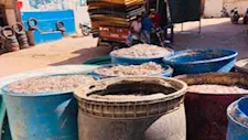 قبل تحويلها إلى "ملوحة".. ضبط طن و800 كيلو أسماك فاسدة في الفيوم (صور)