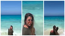 فيديو.. سارة سلامة تخطف الأنظار أمام البحر في أحدث ظهور