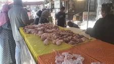 بالصور- حملة تكشف حقن الدواجن بمادة لزيادة الوزن في القليوبية