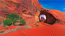 نقوش ونباتات نادرة.. وادي الحمرا يحكي أسرار الجنة الخضراء المفقودة بالوادي الجديد (صور)
