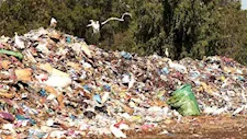 50% زيادة في النفايات بحلول 2050.. تقرير جديد يستعرض مخاطر تهدد البيئة والاقتصاد