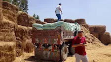 داخل أرض زراعية.. ضبط 108 شكاير دقيق مدعم مخبأة وسط القش بالدقهلية (صور)