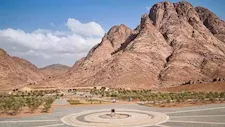 سر الشجرة الوحيدة فوق ارتفاع 2150 متراً.. حكاية جبل الصفصافة ووادي الراحة بسانت كاترين