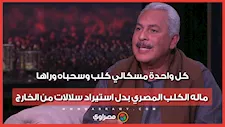 نقيب الفلاحين: كل واحدة مسكالي كلب وسحباه وراها.. ماله الكلب المصري بدل استيراد سلالات من الخارج