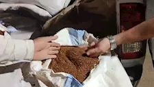 ضبط مصنع مخصبات يغش اليوريا المدعمة وسيارة بن من نوى البلح بالفيوم -صور