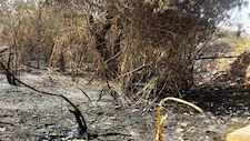 بالصور- حريق يلتهم 6 منازل في أسوان.. والمحافظ يوجه بصرف التعويضات