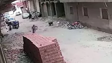  لحظة انهيار 3 طوابق بطلخا ونجاة عامل في اللحظات الأخيرة -فيديو وصور
