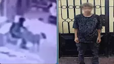 بعد فيديو أثار الغضب.. ضبط المتهم بالتعدي على كلب ضال بالمنوفية