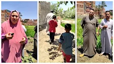 الرعب يمتد للمواشي.. نفوق بقرة بلدغة ثعبان في منيا القمح والأهالي يستغيثون: 'الكوبرا بتدخل بيوتنا'" -فيديو وصور 