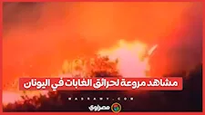 حرائق الغابات في اليونان تخرج عن السيطرة وإخلاء مئات الأسر وسط مشاهد مروعة