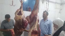 قبل طرحها بالأسواق.. ضبط نصف طن لحوم ودواجن فاسدة في المنوفية (صور)