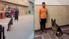 الداخلية تكشف حقيقة فيديو هجوم كلب على سيدة في البحيرة