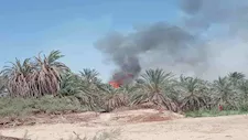 النيران تقترب من المنازل.. حريق بمزرعة نخيل في عزب القصر بالوادي الجديد-
