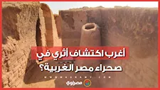 كشف أثري فريد.. مومياوات كلاب داخل دير مسيحي بالوادي الجديد