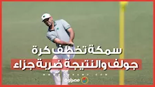 أغرب ما حدث في بطولة جولف.. سمكة تستولي على الكرة في بطولة  بطولة “LIV Golf New York