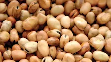 انخفاض أسعار الزيت والسكر والفول بالأسواق اليوم الأحد (موقع رسمي)