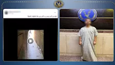 فيديو وثق الواقعة.. ضبط موظف اعتدى بالضرب على كلب صغير في البراجيل  