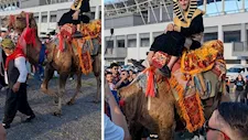 لمؤازرة محمد صلاح.. مشجع يتجه للملعب بملابس فرعونية على ظهر جمل (فيديو)