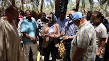 محافظ الوادي الجديد تتابع حصاد البرحي في شرق العوينات
