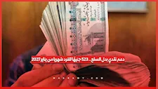 دعم نقدي بدل السلع.. 325 جنيهًا للفرد شهريا من يناير 2027