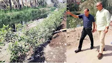 محافظ الجيزة: زراعة 3350 شجرة بأبو النمرس ضمن مبادرة "ازرع شجرة"