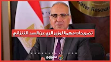 ماذا قال وزير الري عن افتتاح السد التنزاني "جوليوس نيريري"؟