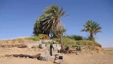 عزيب الحفر.. حكاية واحة خبأت الرحالة من غضب الصحراء البيضاء