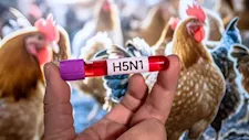أستراليا تؤكد أول إصابة بإنفلونزا الطيور H5N1