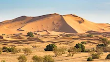 استعدادًا لـCOP18.. مصر تستعرض رؤيتها لمكافحة التصحر في اجتماع أممي
