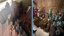 معسل بعلامة تجارية وهمية.. ضبط مصنع غير مرخص بدمياط