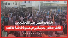 بالشوم والعصي وعلى أنغام الدي جي .. الآلاف يحتفلون بمولد النبي في مسيرة ضخمة بالأقصر