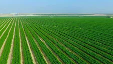 204 آلاف فدان حصيلة استصلاح الأراضي خلال 2024/2025