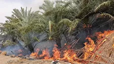 حريق مزرعة نخيل بالطريق الدائري في الوادي الجديد والحماية المدنية تتدخل