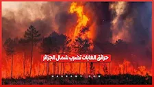 ذعر بين السكان وتوقيف مشتبه بهم.. مشاهد مرعبة لحرائق الجزائر