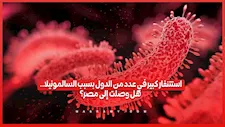 السالمونيلا تنتشر في عدة دول.. كيف تنتقل؟ وهل وصلت إلى مصر؟