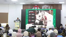 عميد "بيطري القاهرة": طب الخيول أحد الفروع الحيوية في الطب البيطري