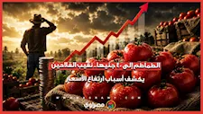 الطماطم إلى 40 جنيها.. نقيب الفلاحين يكشف أسباب ارتفاع الأسعار