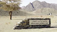 شواطئ كريستالية وكائنات نادرة.. أسرار محمية "وادي الجمال" في مرسى علم - صور