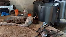 ضبط 14 ألف قطعة شيكولاتة داخل مصنع غير مرخص بالقناطر الخيرية