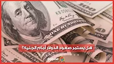 بعد زيادة 45 قرشا.. هل يستمر صعود الدولار أمام الجنيه؟