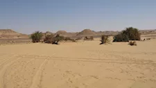 "تظهر لمن يضل الطريق".. حكايات مثيرة عن واحة زرزورة المفقودة بالوادي الجديد (صور)
