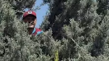 مشجع طرابزون يتسلق شجرة لمشاهدة محمد صلاح لحظة وصوله إلى تركيا (صور)