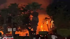 اندلاع حريق في أشجار كورنيش حلوان- صور